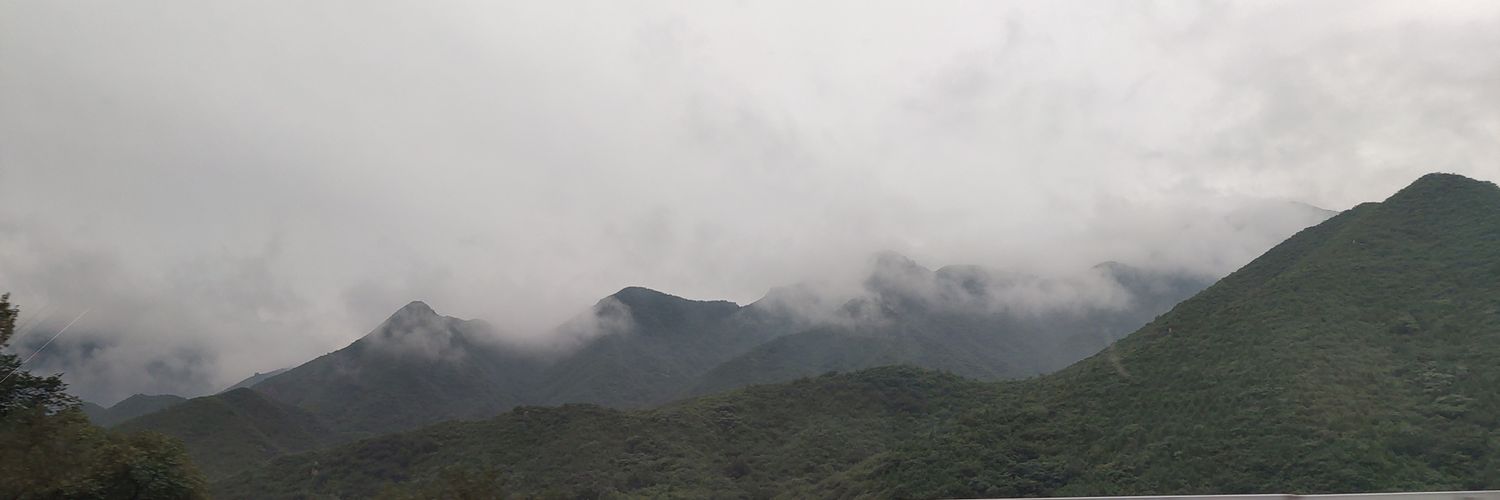 ProtecterAnimal's profile banner image