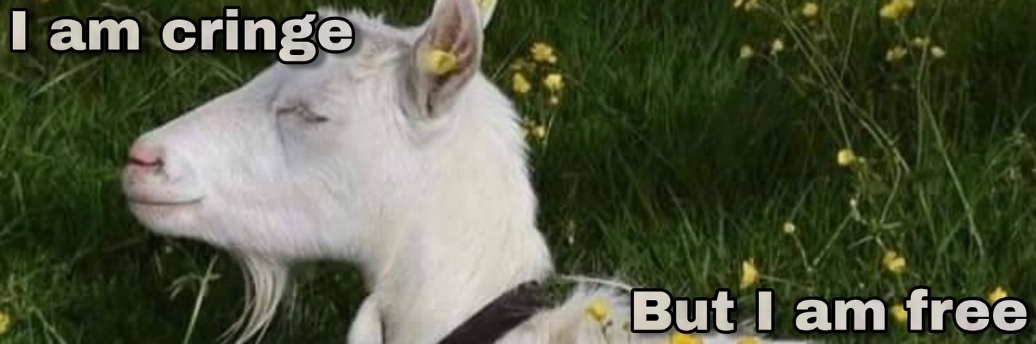 רועי🌱 banner