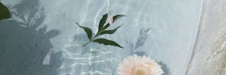 moniccaborgo's profile banner image