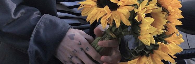 fifinay's profile banner image