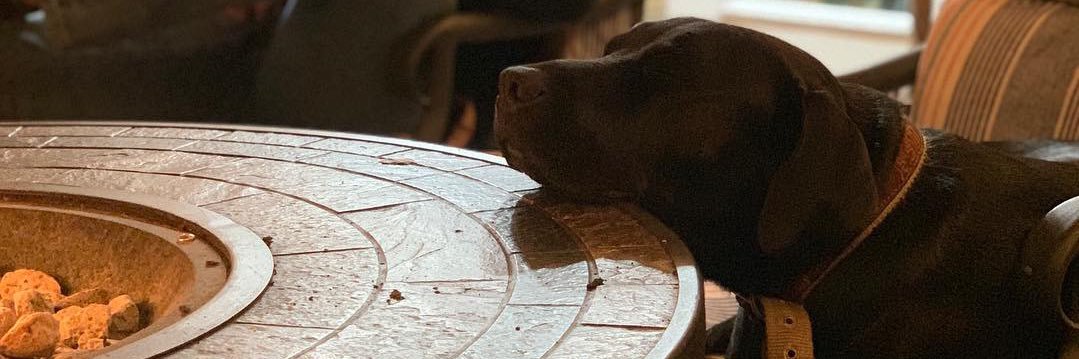 RandLogan's profile banner image