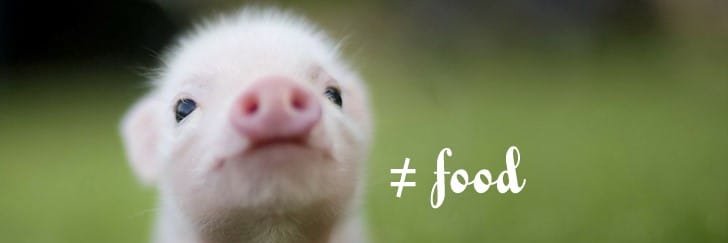 Christopher Scott banner