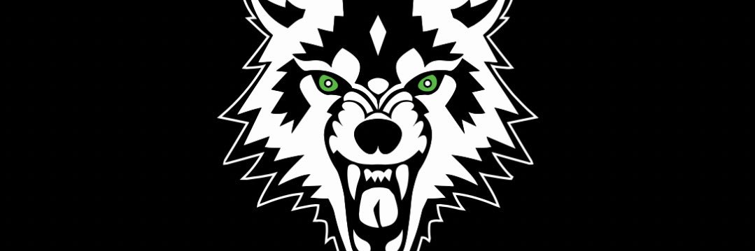 Blue Valley Timberwolves banner
