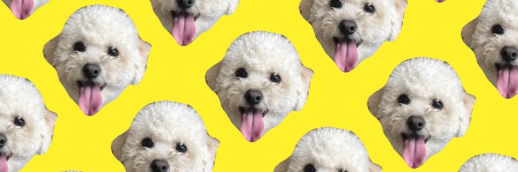 filljox's profile banner image