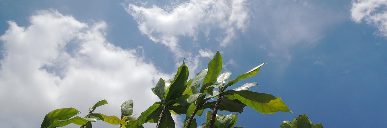 babilon1271's profile banner image