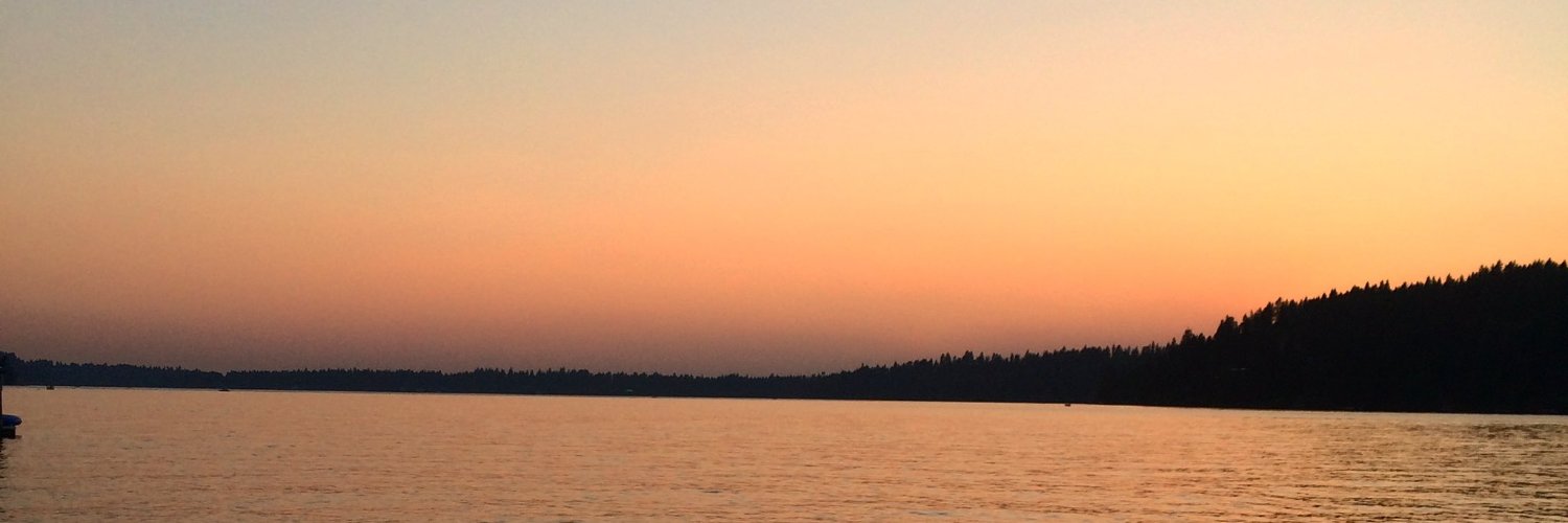 _stinkum's profile banner image
