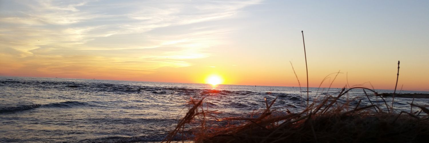 amyjoy95's profile banner image