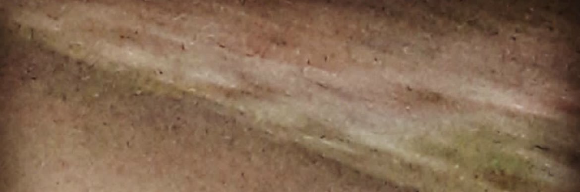 dolondolo's profile banner image