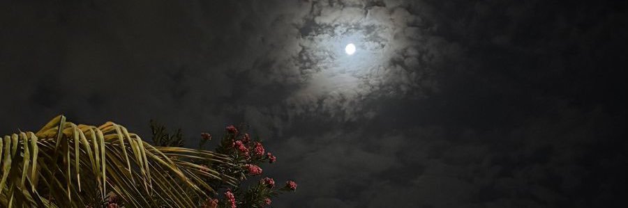 nouf banner