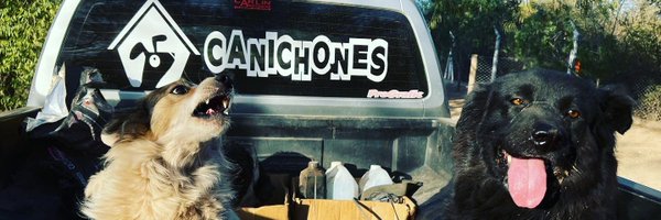 canichones Profile Banner