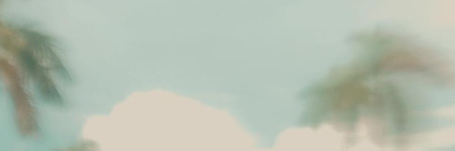 amyylxx's profile banner image
