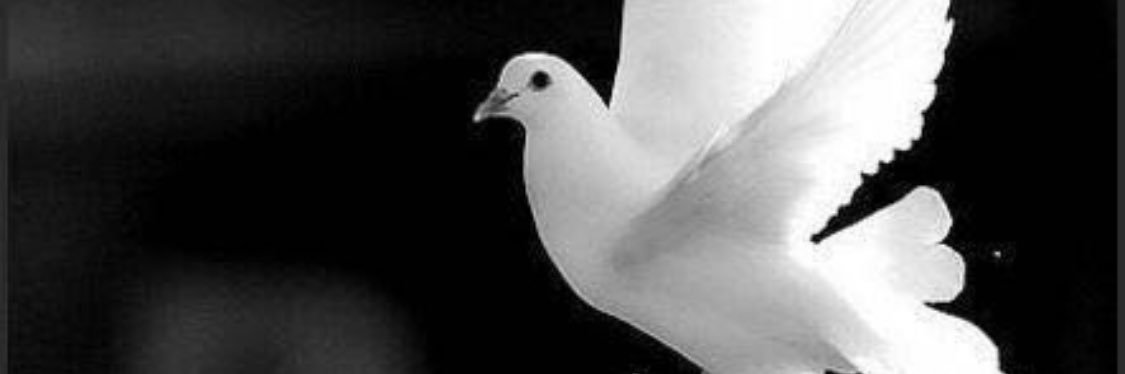 _smso0onh's profile banner image