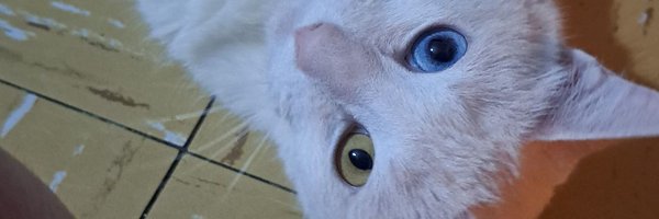 lujiijan Profile Banner