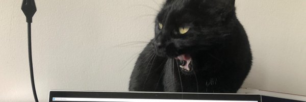 rheum_cat Profile Banner