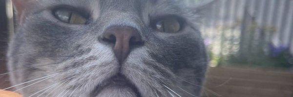GrahamHelton3 Profile Banner