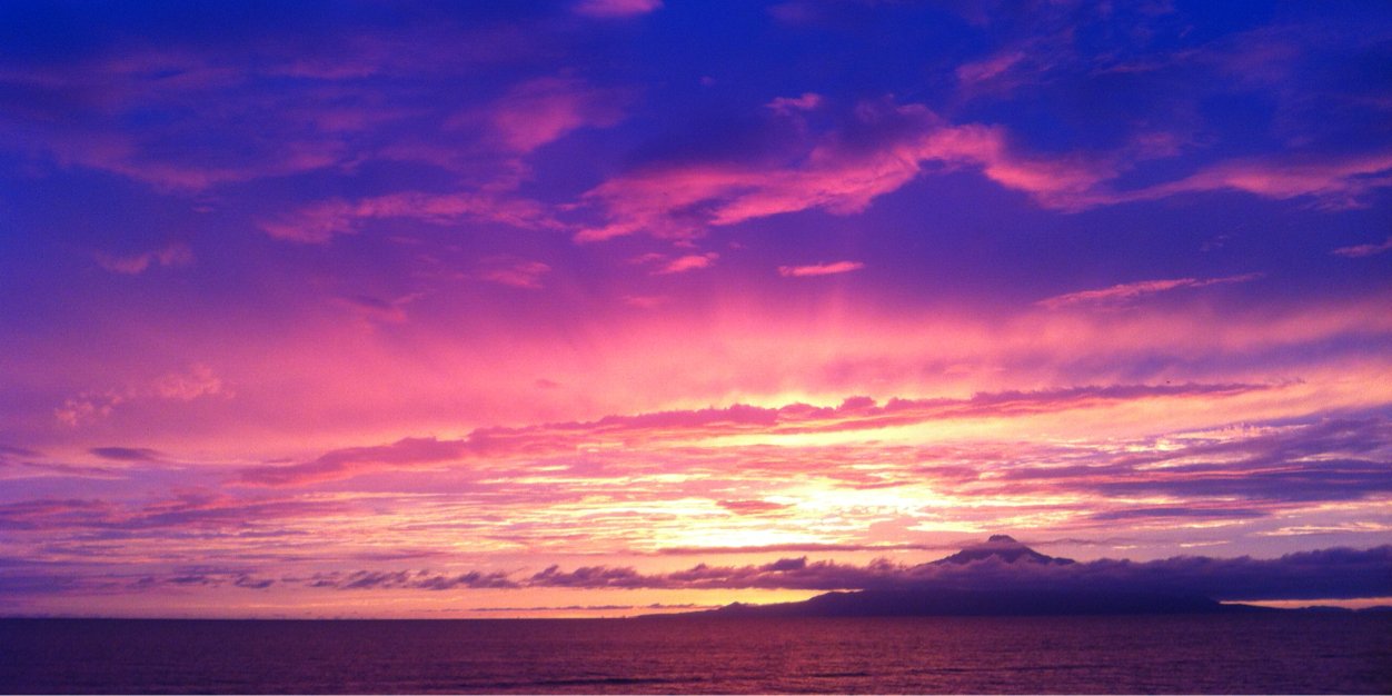 WARU__'s profile banner image