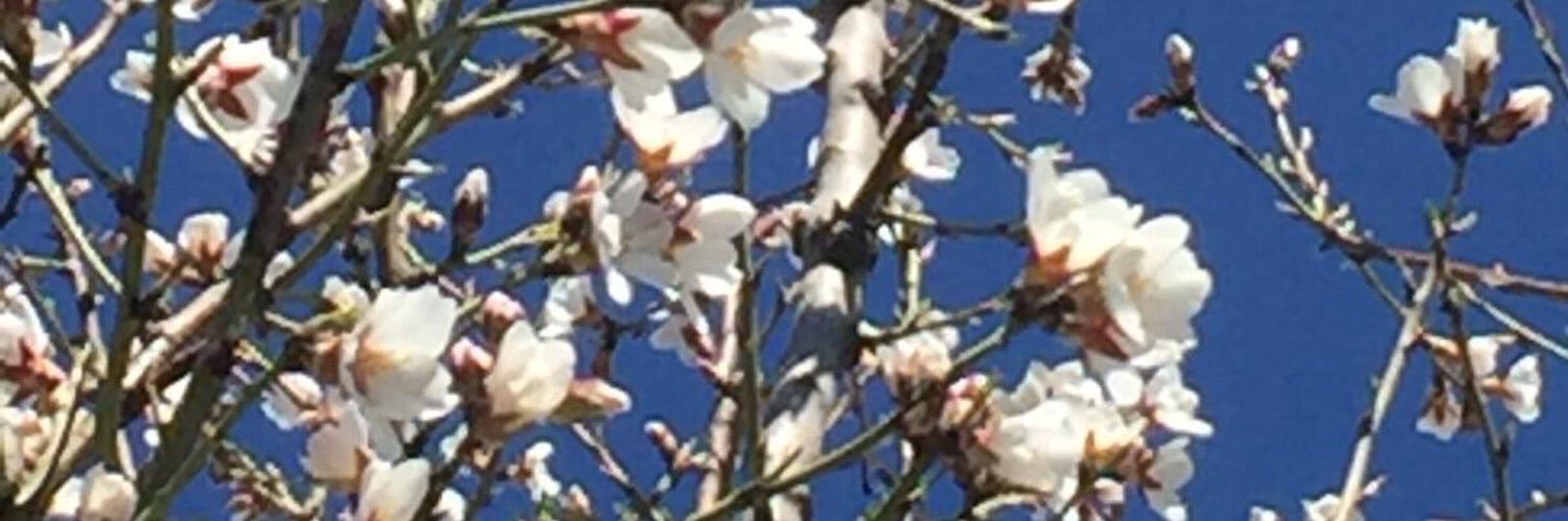 clagt's profile banner image