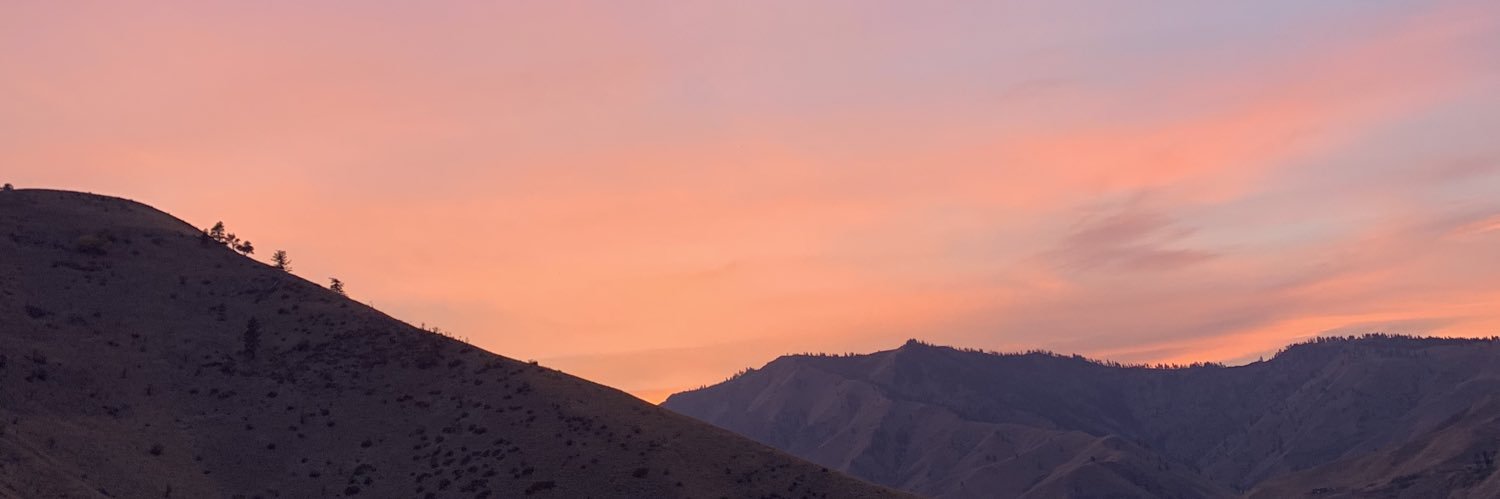 lupe_guillenv's profile banner image