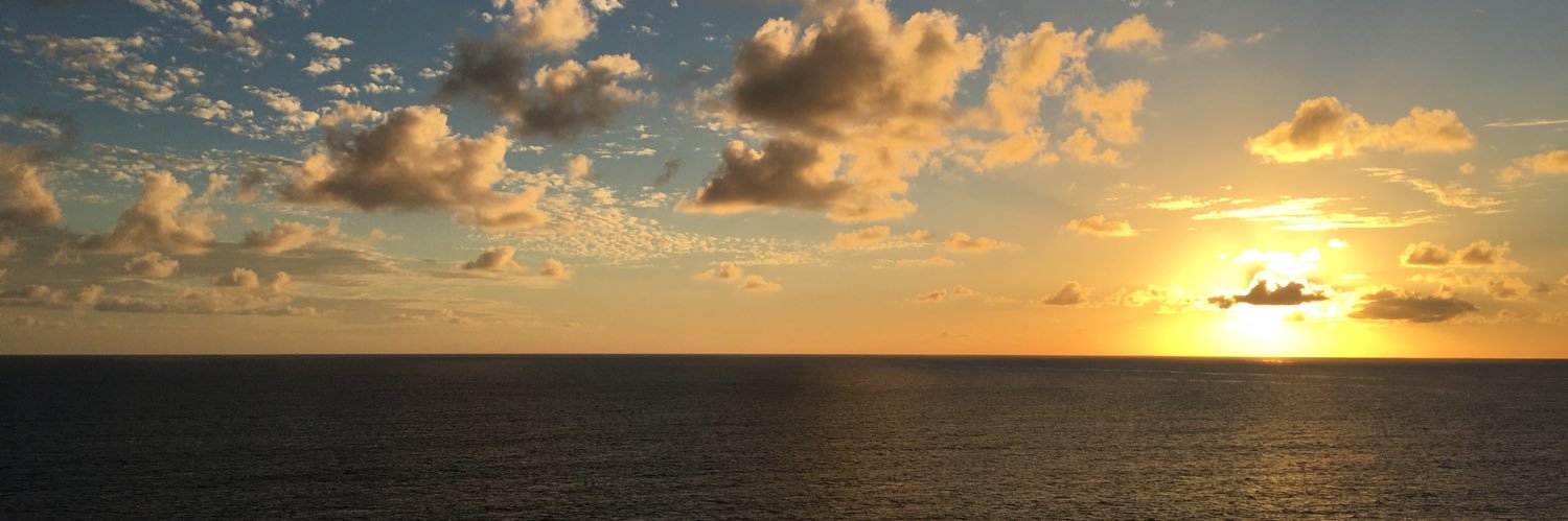 justaliltachy's profile banner image
