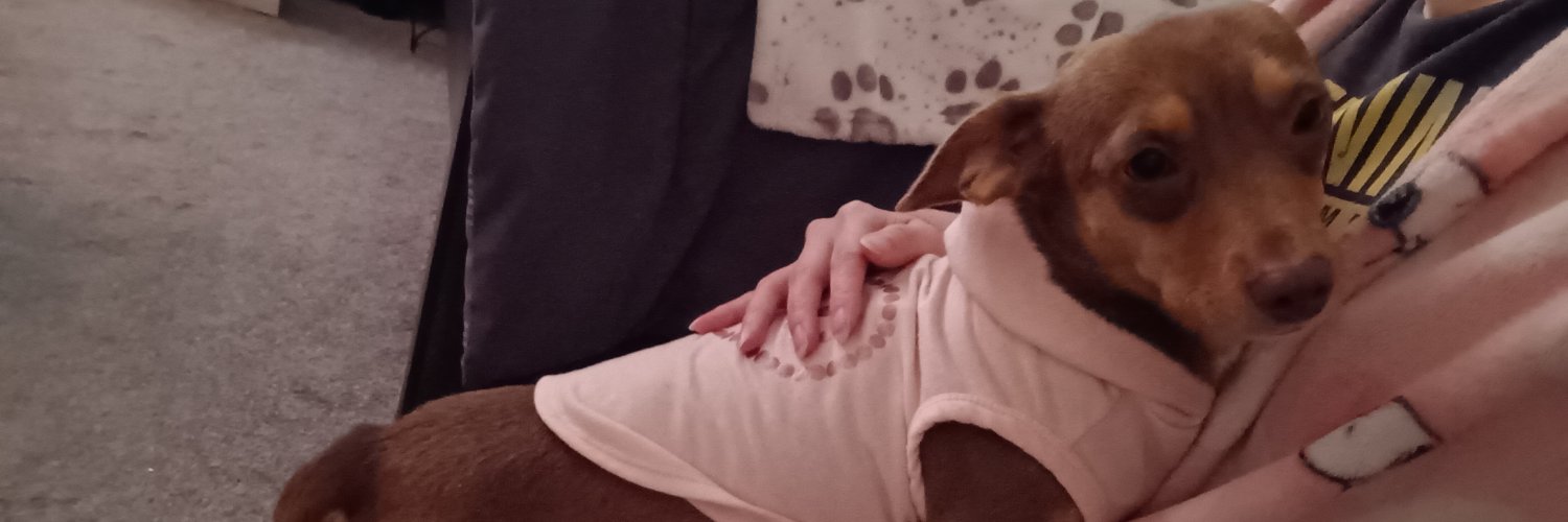 Bucky_Enjoyer's profile banner image