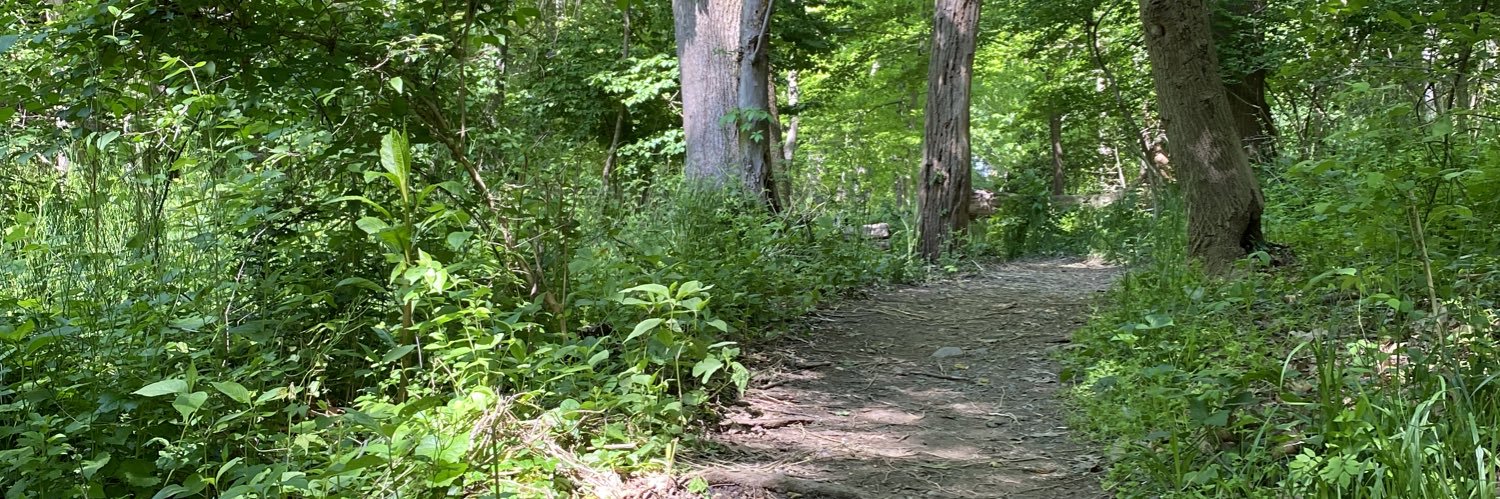 Alex Gustafson banner