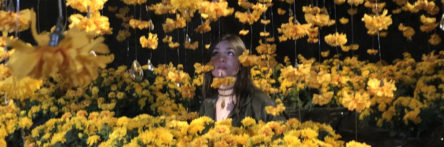 CassadyMayerson's profile banner image