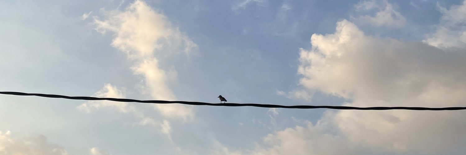 Izzul Afiq 🏴 banner