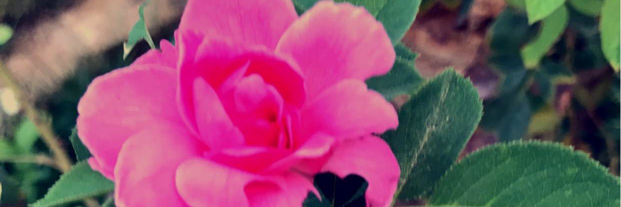 إبتسام الزهراني .. ᥫ᭡ banner