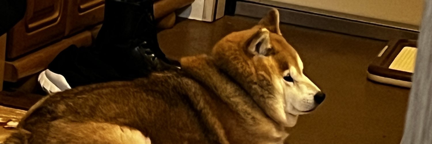 dayonden's profile banner image