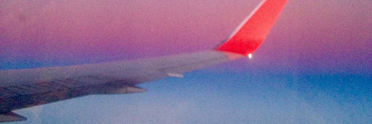 lica_laura's profile banner image