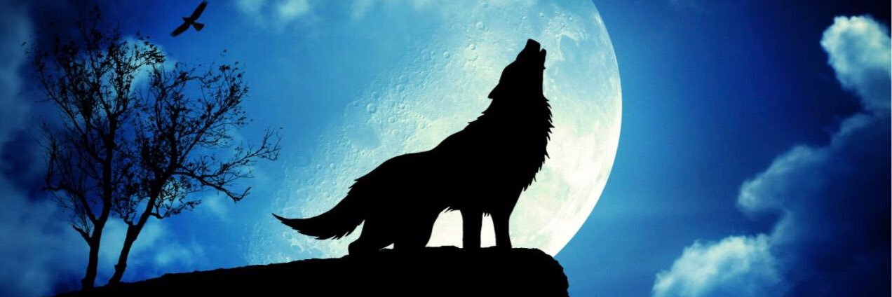 zειт∂ιεвx Ⓥ 🐾 🐿 🌱 🍂 banner