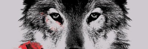 wolfpackthepack's profile banner image