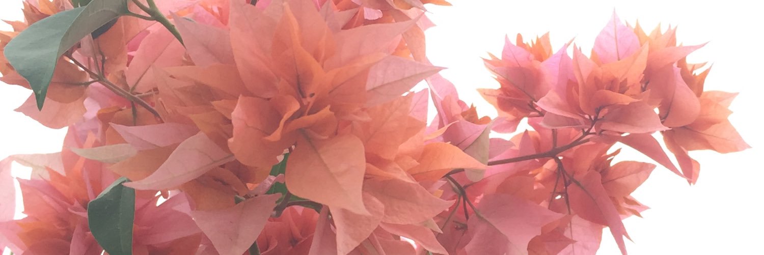 HananAlMahmoud's profile banner image