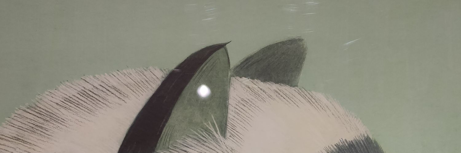 Suneal banner
