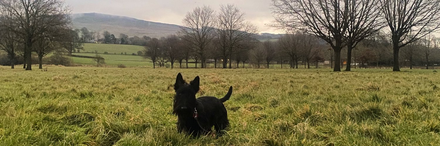 WrightPaisley's profile banner image