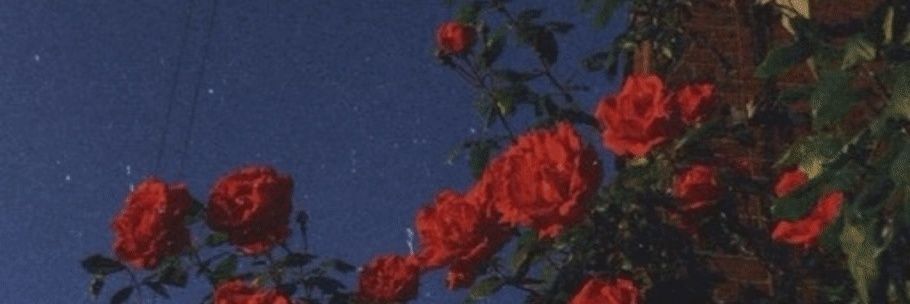 lerrieglow's profile banner image