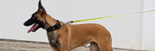 Preecha2007 Profile Banner