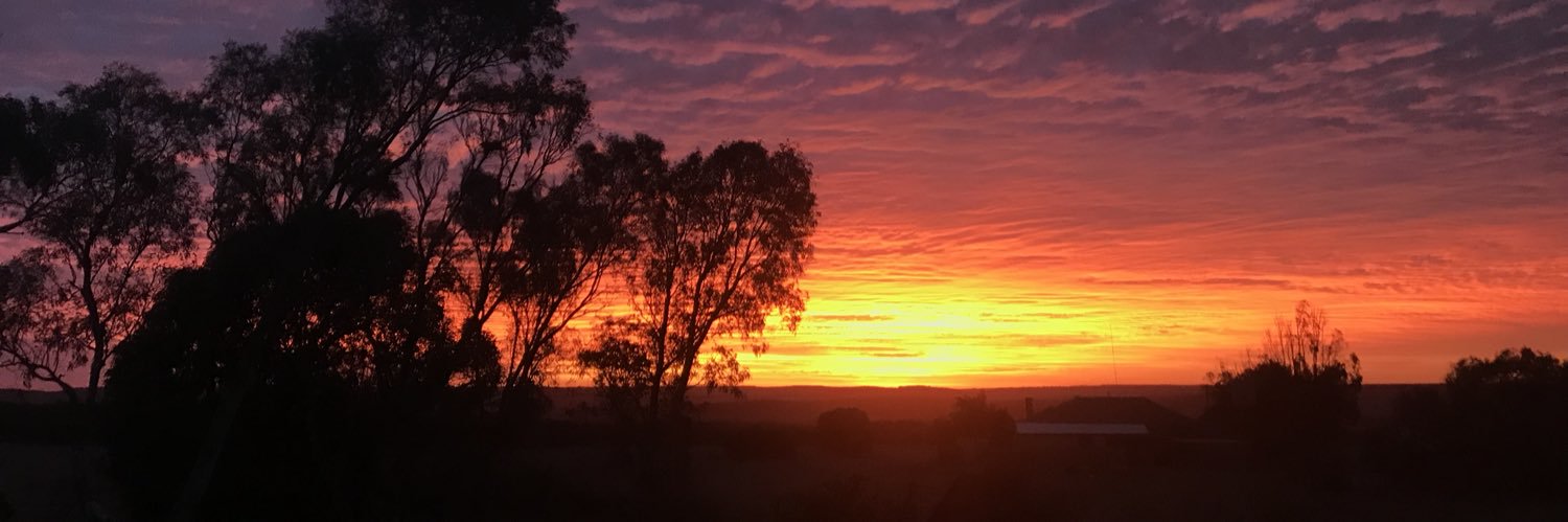 Cameron Johnson banner