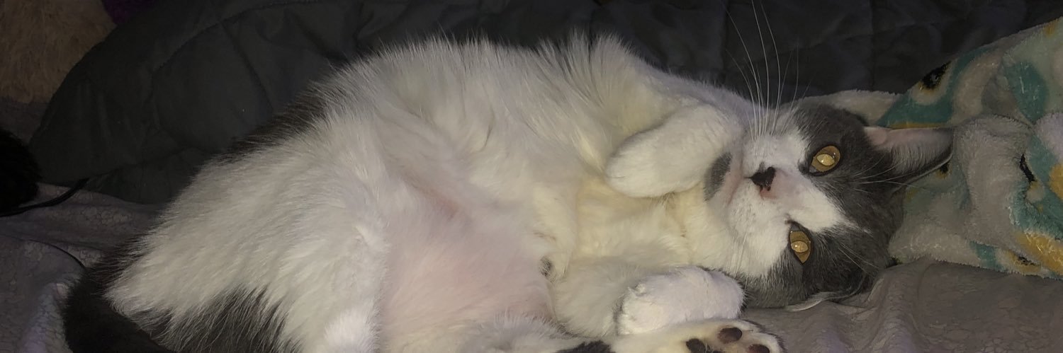FunnyBerry9's profile banner image