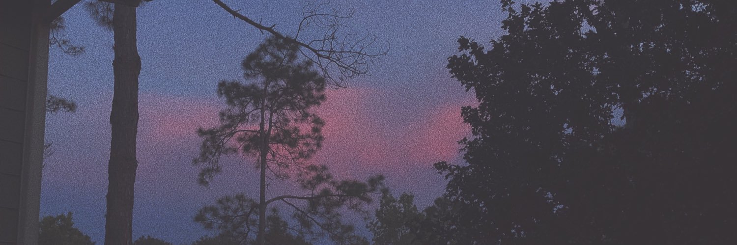 LLAAVAA's profile banner image