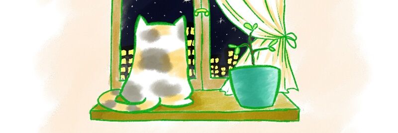 hoshikeke.bsky.social banner
