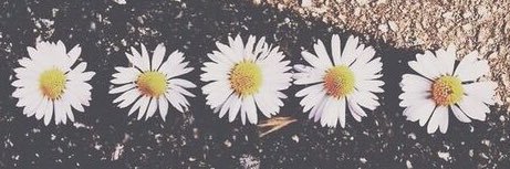 ErinTaylor77's profile banner image