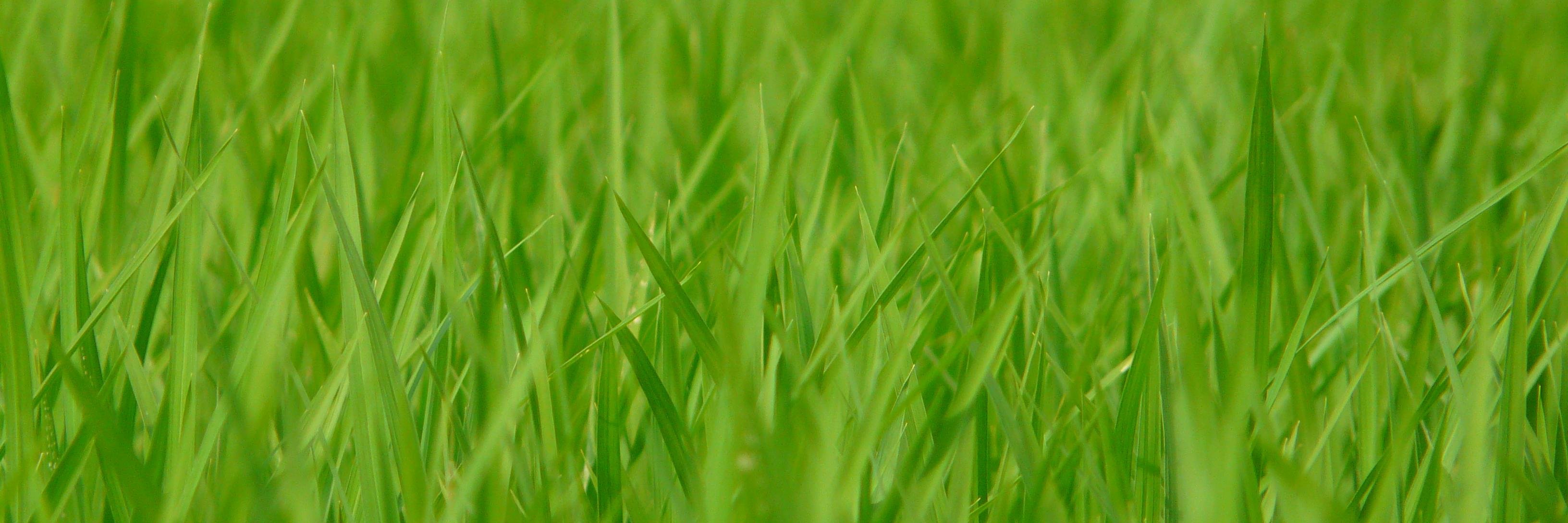 jcvallejol's profile banner image