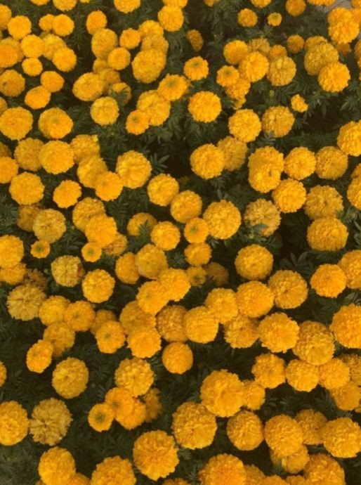 Bernalgaa's profile banner image