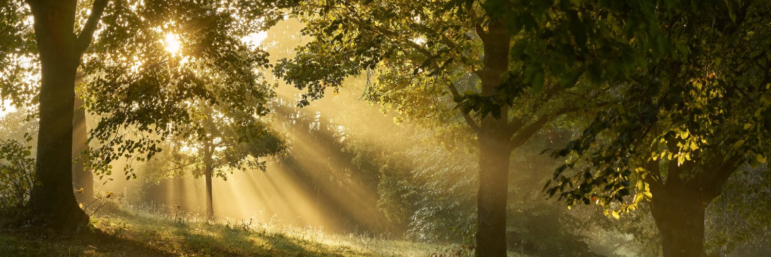 35staceyjohnson's profile banner image