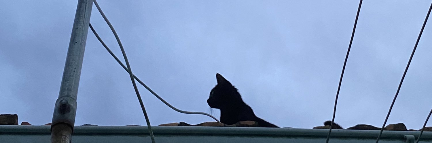 camilwx's profile banner image