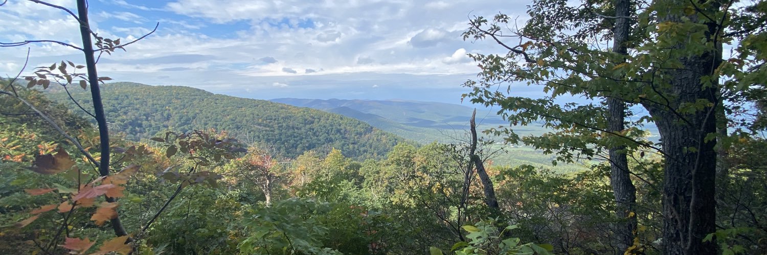 maria samaritano banner