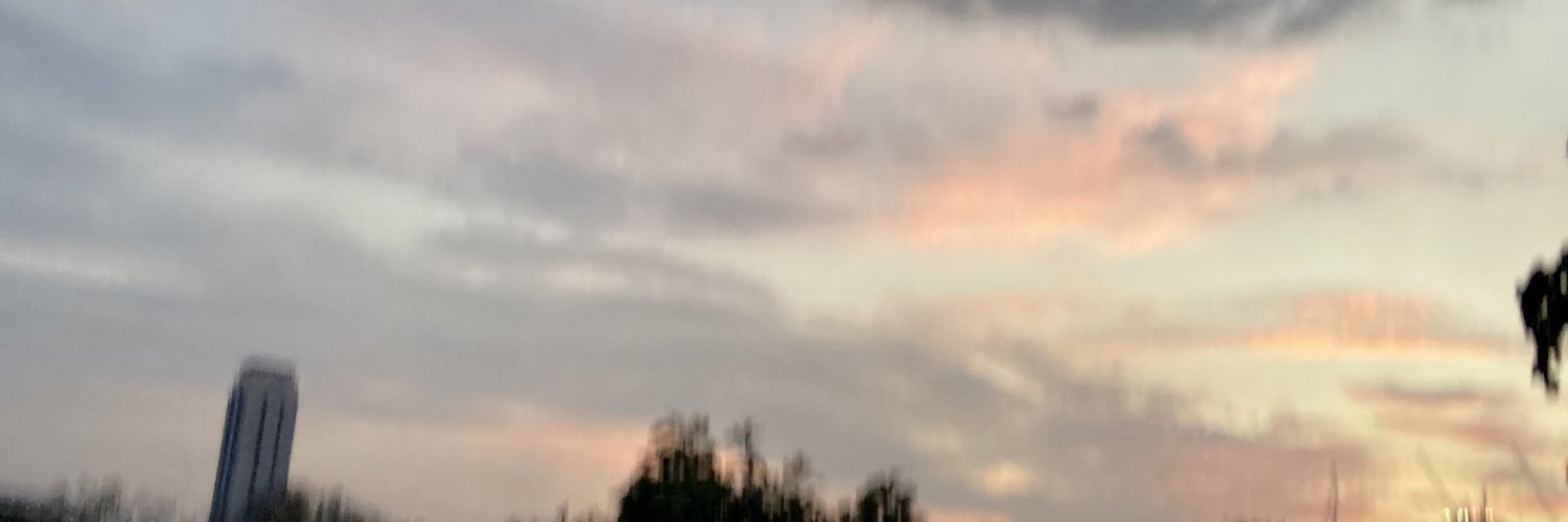 nothingjustwrp's profile banner image
