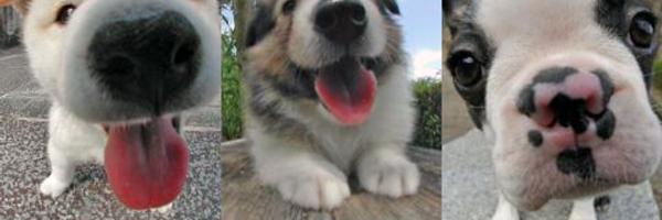 cok_tikaa Profile Banner