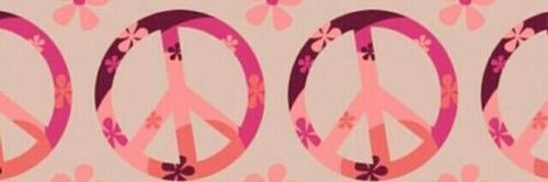 กุ๊กต่ายน้อย บนดอยสูง banner